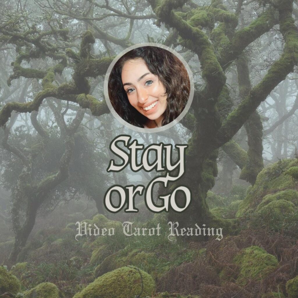 Stay or Go | Crossroads Tarot Reading