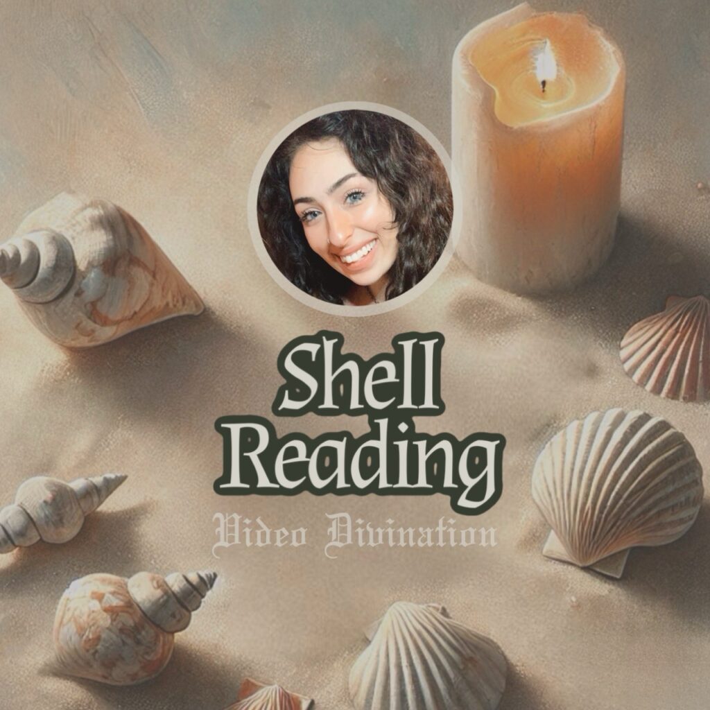 Shell Reading: Personalized Video Divination