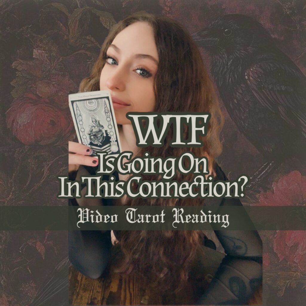 WTF Is Going On In This Connection? | Tarot Reading for Confusing Relationships