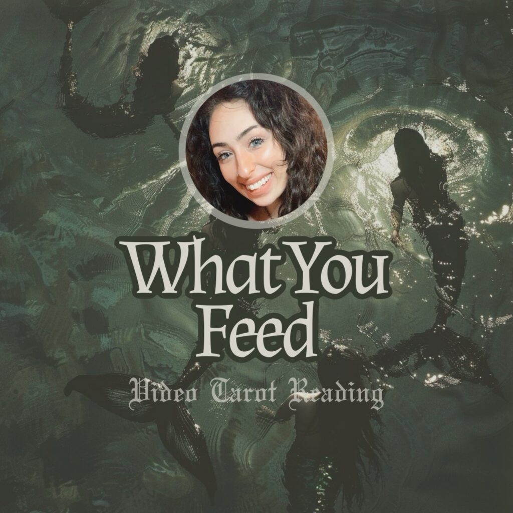 What You Feed - Video Tarot Reading