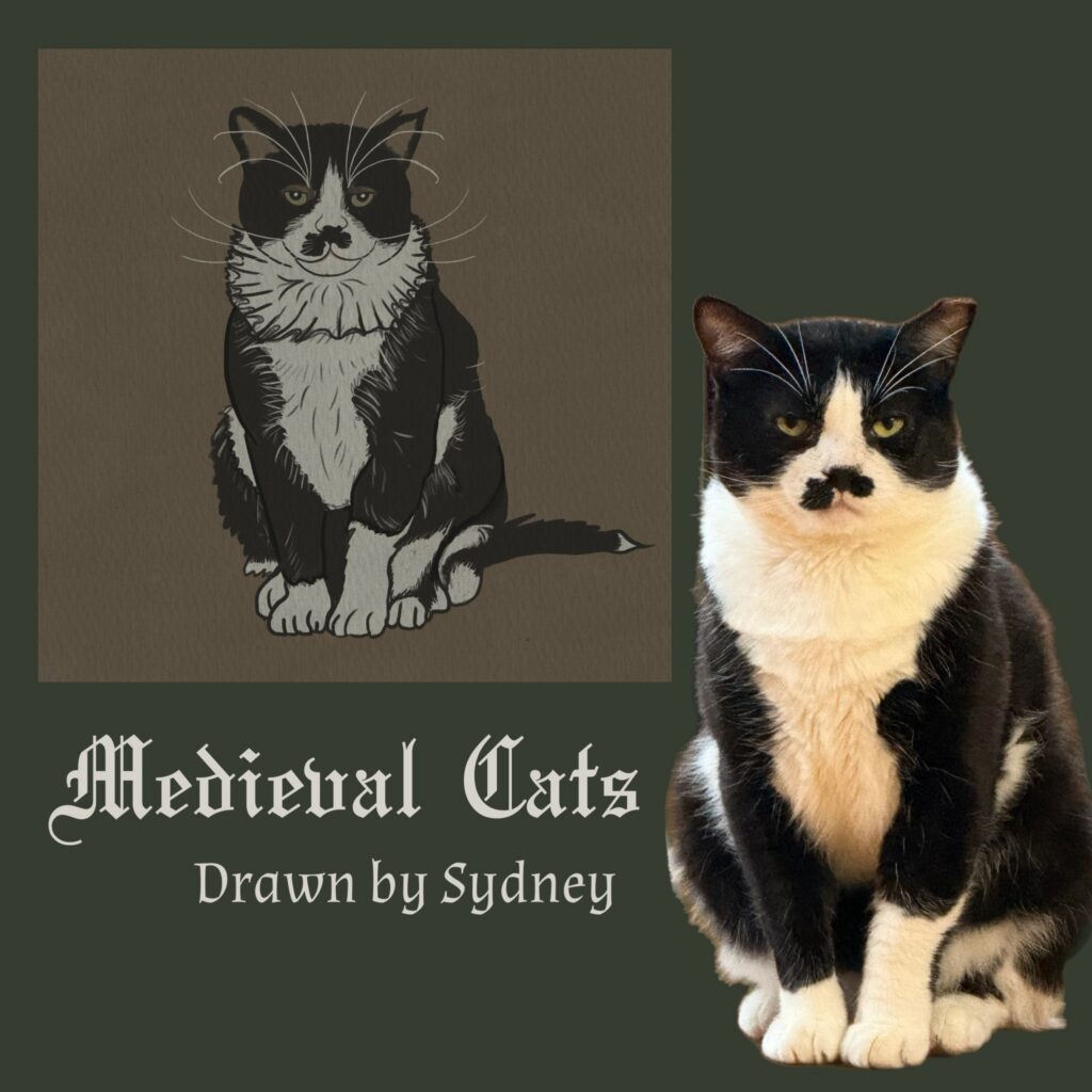 Medieval Cats Drawn by Sydney