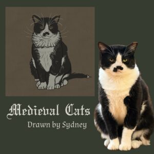 Medieval Cats Drawn by Sydney