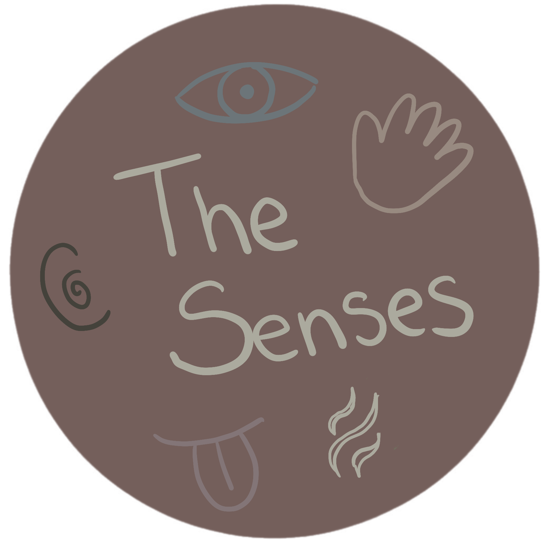 The senses